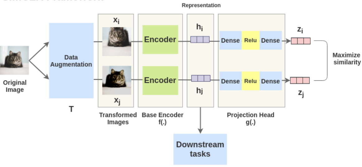SlimCLR Framework