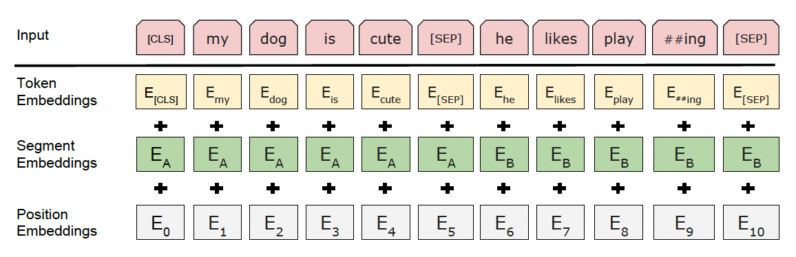 Input Representation